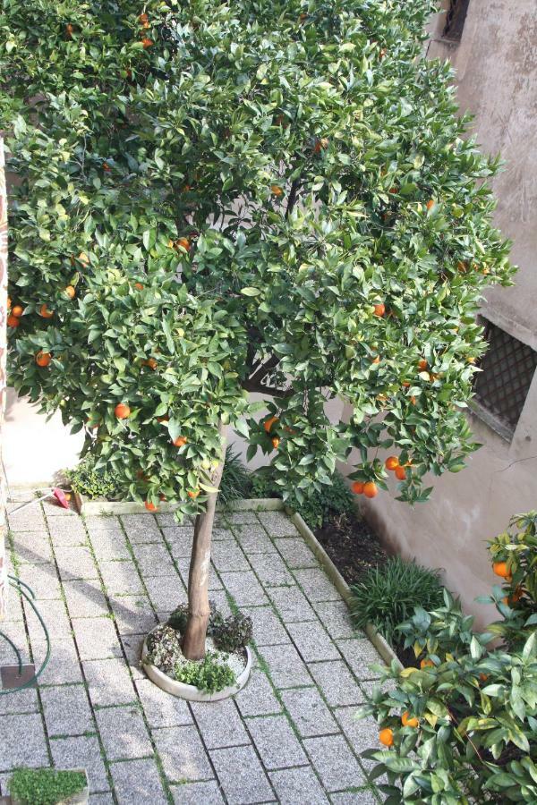Wellnessinnrome Shortlet Exterior foto